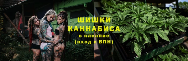 дурь Белокуриха